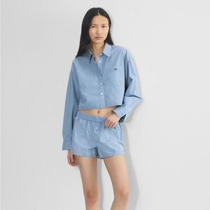 Aritzia TNA Plaid Cotton Cropped Blue Button Down Long Sleeve